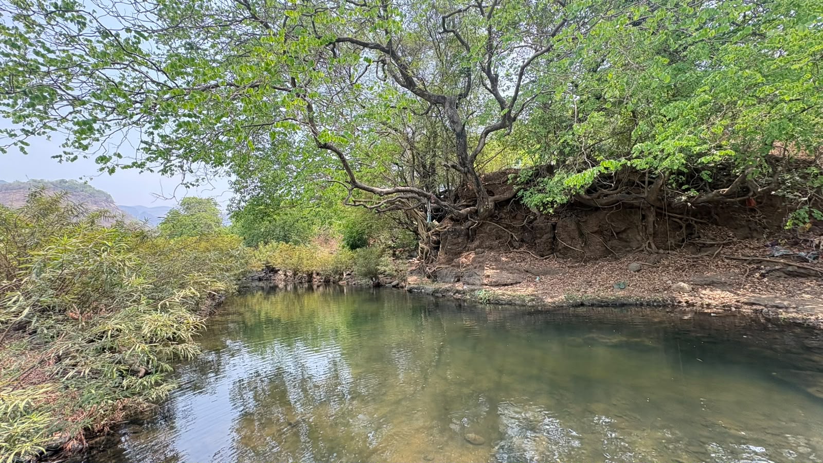 Agricultural land with natural pond and trees